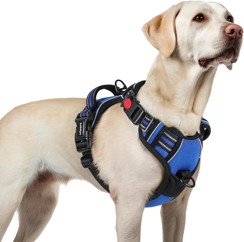 rabbitgoo Dog Harness Large No-Pull Front Back Clips Reflective Blue L