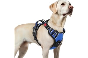 rabbitgoo Dog Harness for Large, No Pull Pet Harness with 3 Buckles, Adjustable Soft Padded Vest with Control Handle, Walking Reflective Pet Vest for Large Dogs, Blue, L