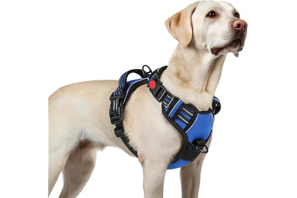 rabbitgoo Dog Harnesses for Large Dogs, No Pull Pet Harness with 3 Buckles, Adjustable Soft Padded Vest with Instant Control
