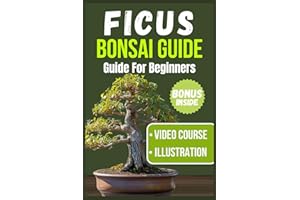 FICUS BONSAI GUIDE FOR BEGINNERS: A Comprehensive Handbook for Choosing, Nurturing, Styling, and Showcasing Your First Ficus Bonsai (Bonsai Care Guide For Beginners)