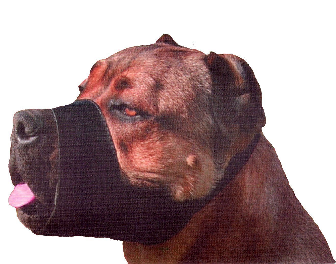 Quick Fit Nylon Dog Muzzle, Large Fits Snout Size 9"-10", Black