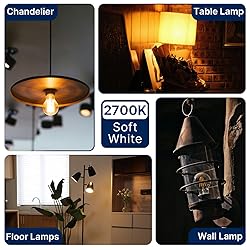 FLSNT 60W Equivalent Dimmable A19 LED Light
