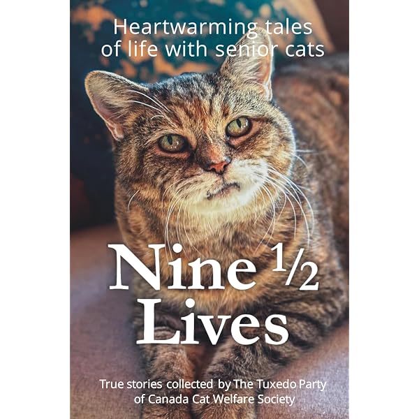 It's a Cat's Life: Anitra Frazier, Norma Eckroate, Cris Arbo