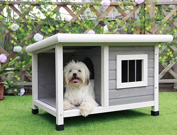 Petsfit Outdoor Wooden Dog House with Steel Window, One Room and One