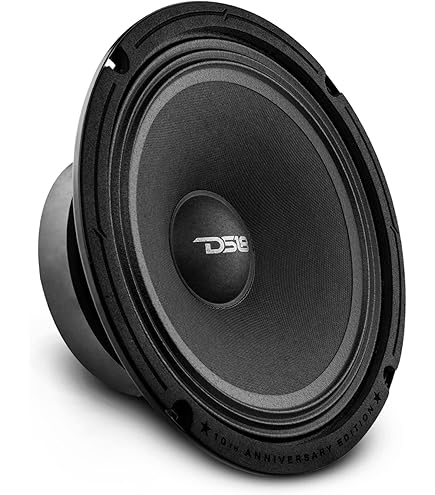 Amazon.com: DS18 8XL800-4 PRO XL 8