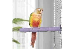 YOOSO WING Parrot Perch Birds Nail File Perch Abrasive Surface Ceramic Paw Grinding Stick – Bird Nail File – for Parrots, Budgies, Parakeets, and Cockatiels Bird Cage Accessory (Purple, 7.8Inch)