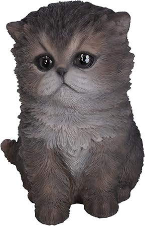 Vivid Arts Chat Persan Noir Et Blanc Amazonfr Jardin