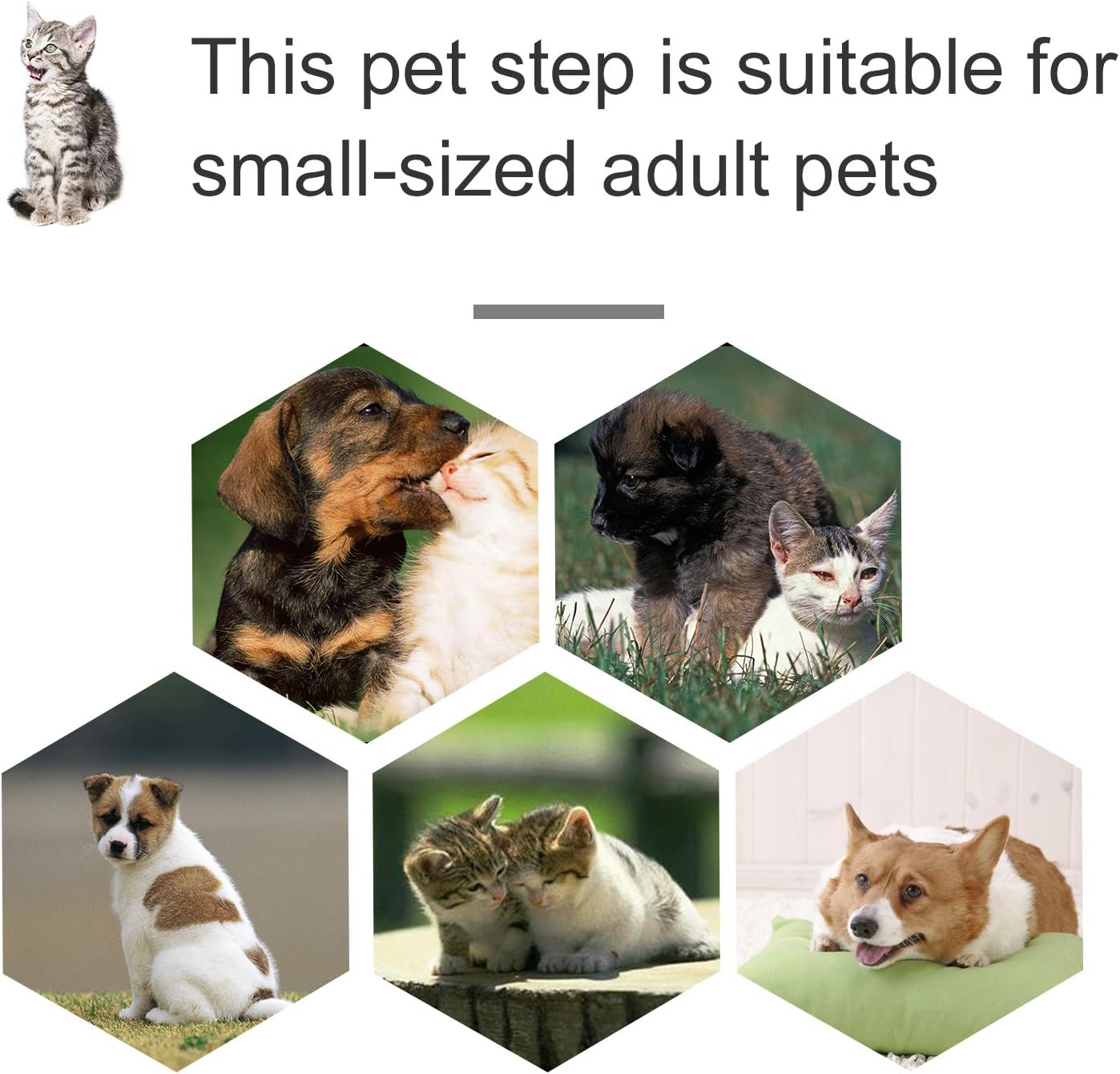 pawhut pet stairs
