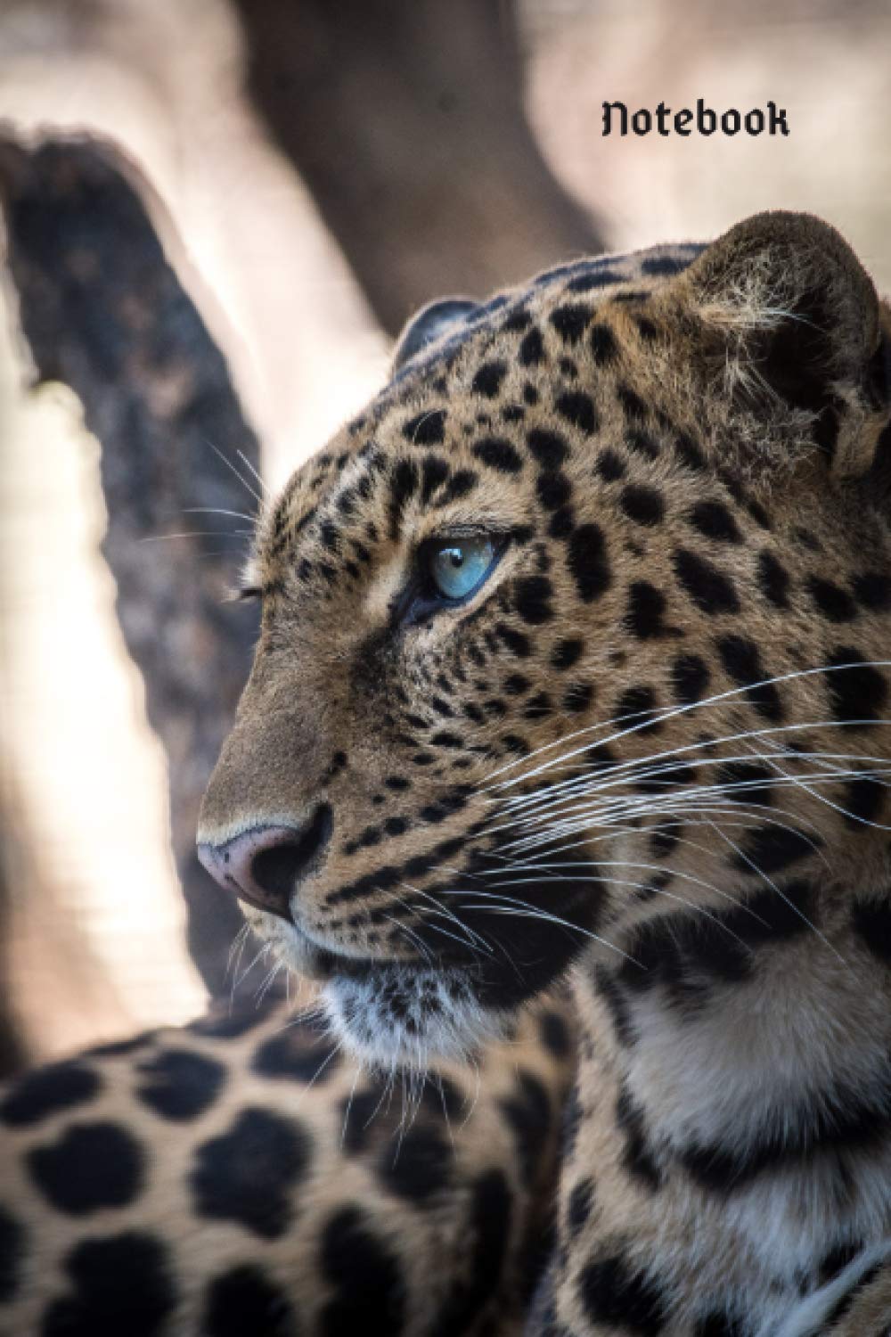 Notebook: Leopard Lined Notebook/Journal with 120 lined pages, 6x9 inches.