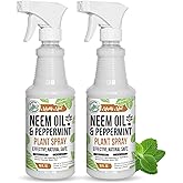 Mighty Mint Neem Oil & Peppermint Plant Nutrient Spray – Natural Leaf Shine for Indoor & Outdoor Use – Plant-Based Formula for Stronger, Healthy Plants - 16 oz (Pack of 2)