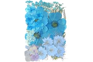 FLYEKIST 10 Types 50PCS Pressed Dried Flowers for Resin Molds,Real Natural Dried Flowers for Making Mobile Phone Case Candle Handmade Crafts Pendant Necklace Jewelry DIY Accessories