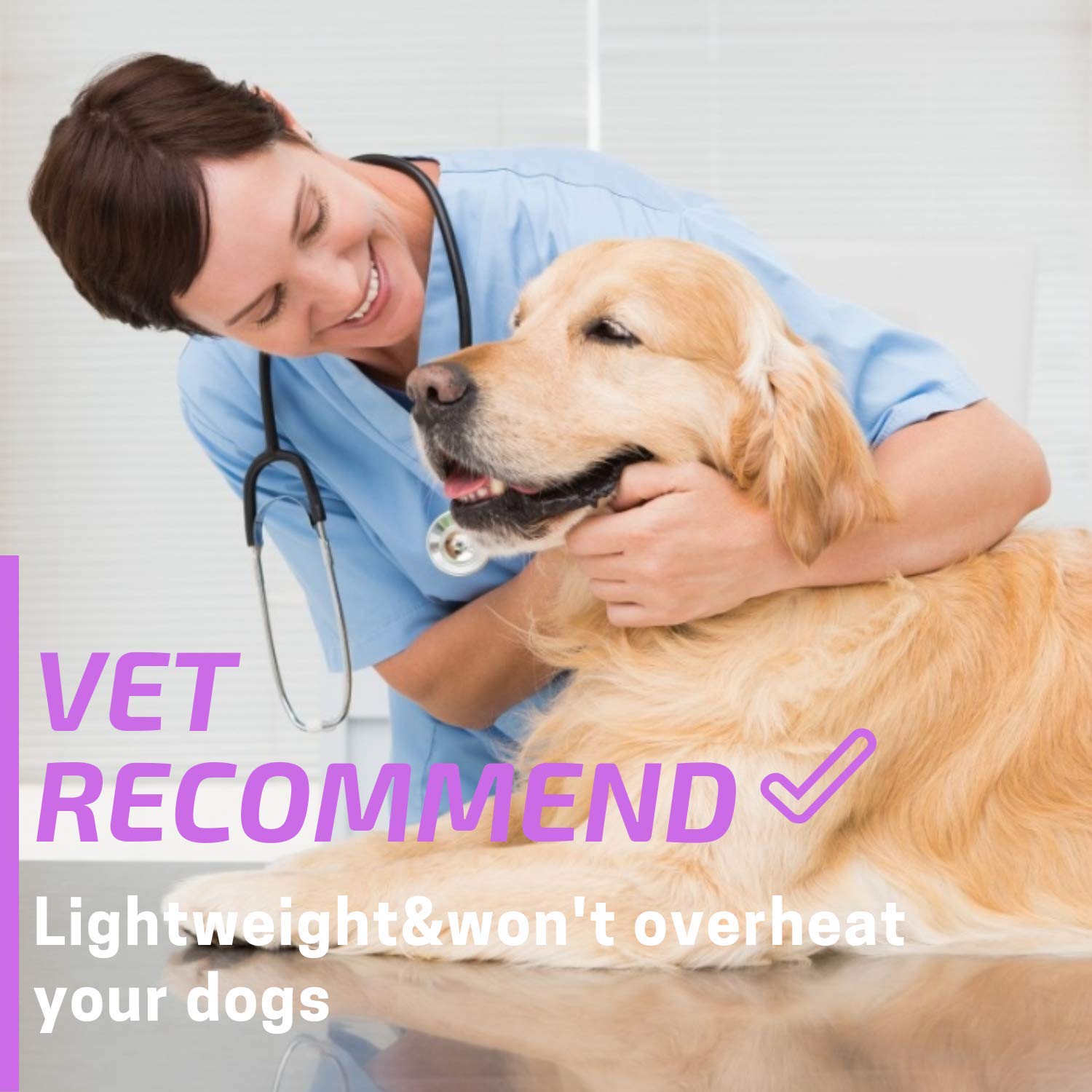 small puppies small puppies