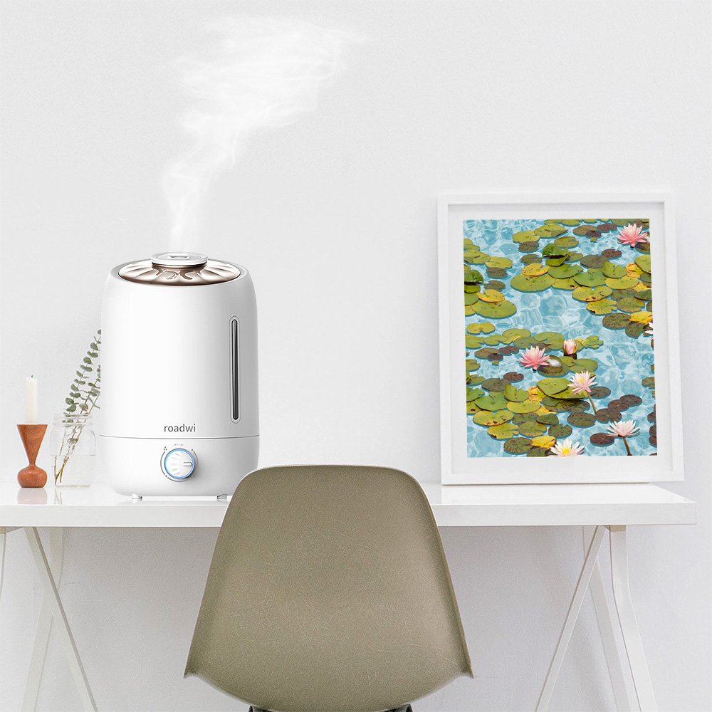 Roadwi 5L Antibacterial Diffuser Humidifier, Large Capacity Ultrasonic Diffusers Running 20+ Hours, Adjustable Mist mode for Home Office Bedroom Living Room Yoga (FREE Silver Ion Water Purifier)