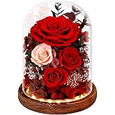 Alupssuc Forever Preserved Real Flowers for Delivery Prime, Eternal Fresh Roses in Glass Dome with LED Lights, Mothers Day Gifts for Mom, Her, Wife, Grandma, Daughter, Women, Girlfriend, Birthday, Red