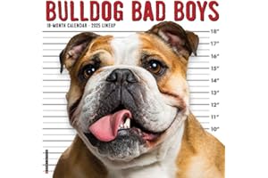 Bulldog Bad Boys 2025 12" x 12" Wall Calendar
