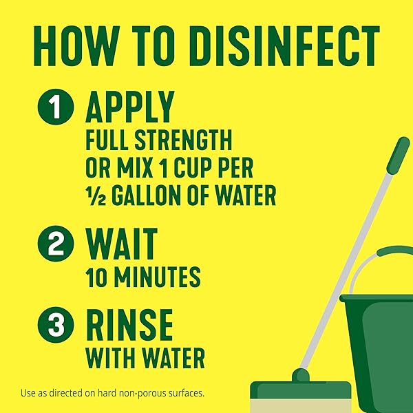 PINE-SOL MULTI-SURFACE CLEANER, ORIGINAL, 20 FLUID OUNCES