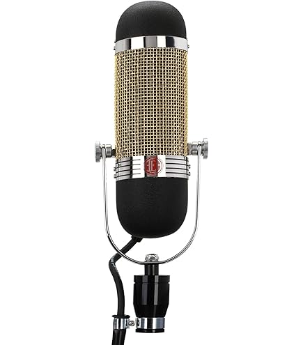 Amazon.com: AEA Ribbon MICS R84 Ribbon Microphone : Musical