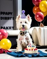 BIPY 10 Pack Mini Party Hats for Plush Toys Teddy Bears Adjustable Headband view 7