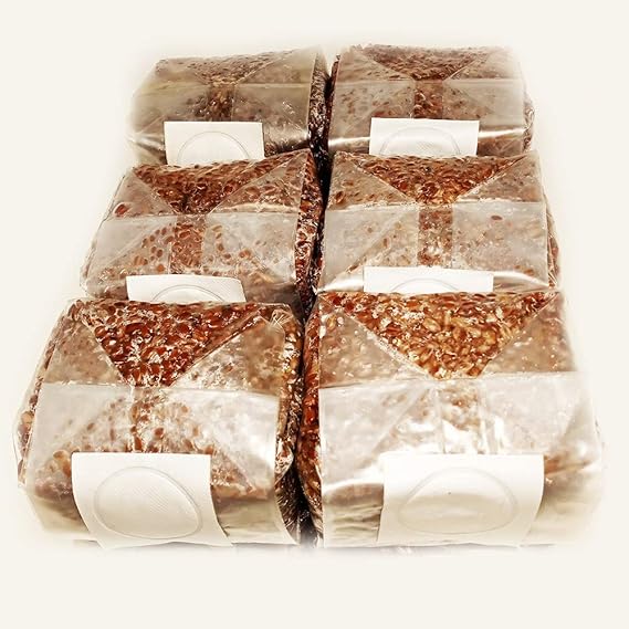6 x 1 lb. Sterilized Rye Berry Mushroom Substrate Bags for