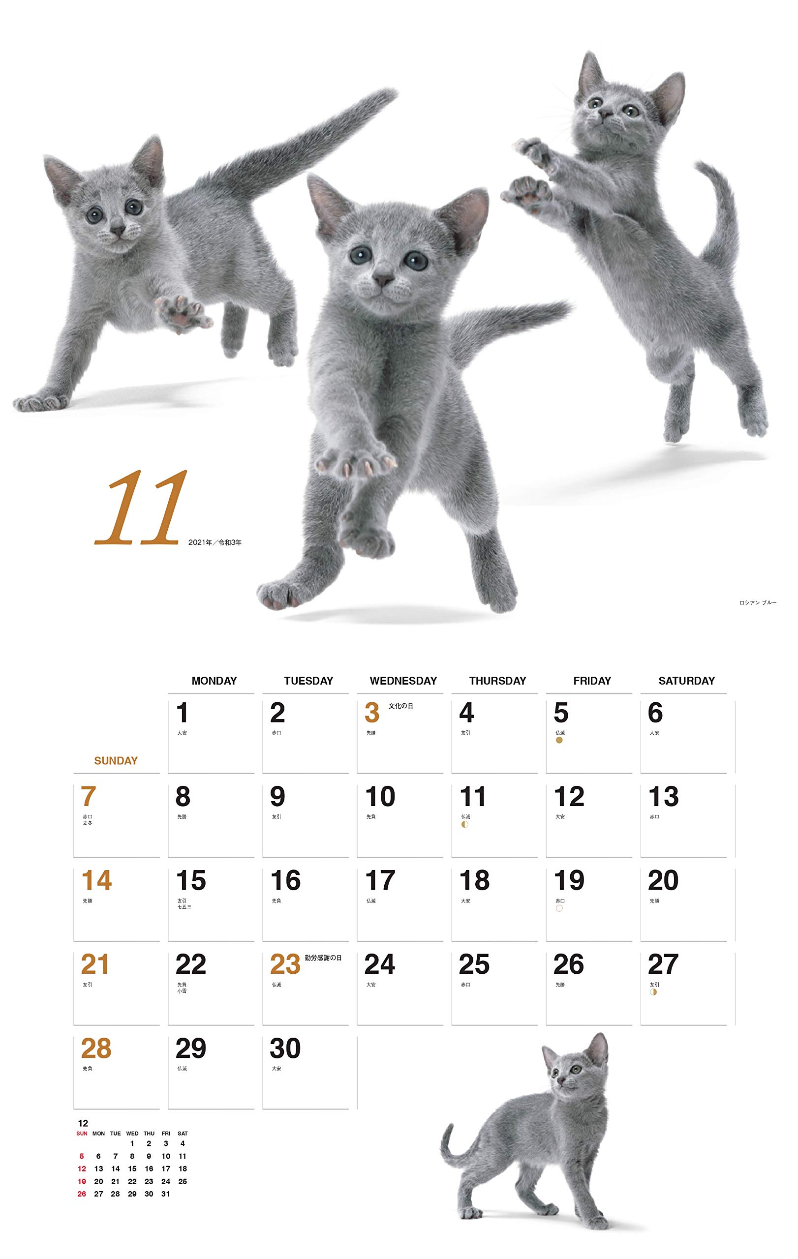 カレンダー21 ほのぼの子ねこ 月めくり 壁掛け ヤマケイカレンダー21 福田 豊文 本 通販 Amazon カレンダー21 ほのぼの子ねこ 月めくり 壁掛け ヤマケイカレンダー21 福田 豊文 本 通販 Amazon