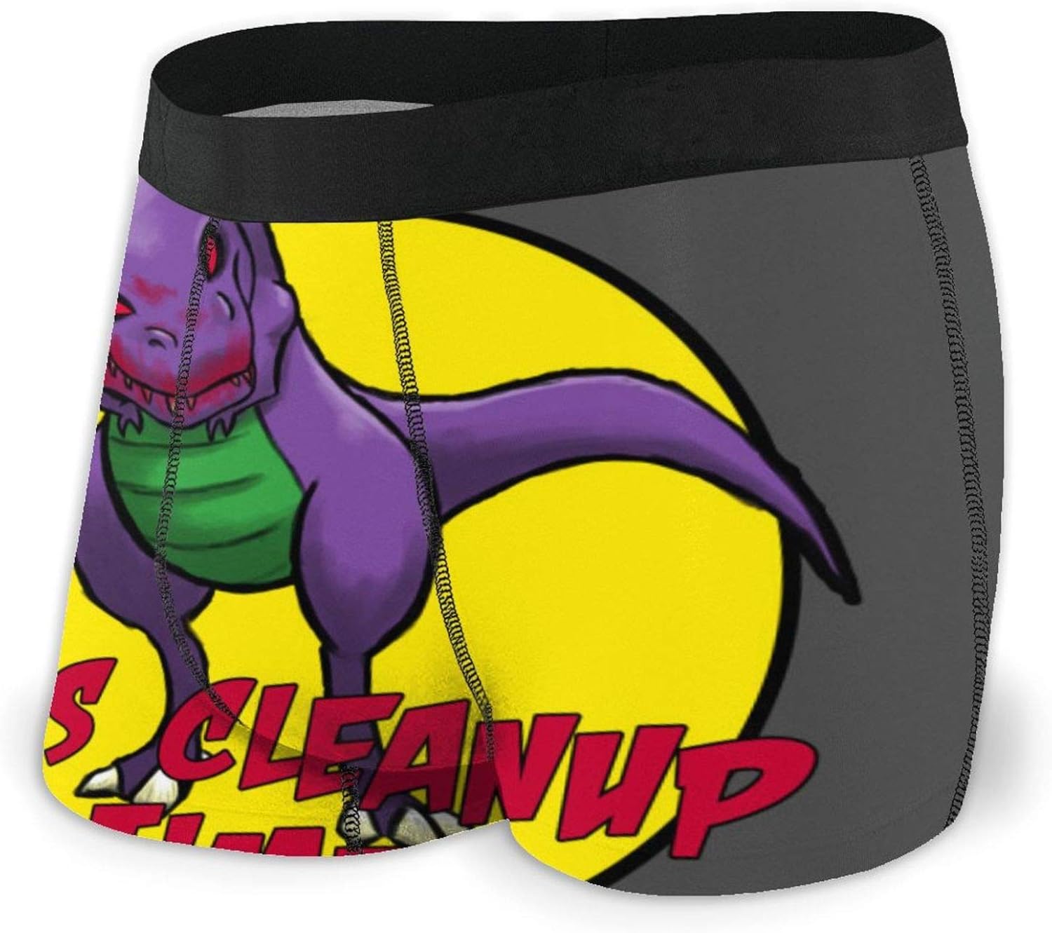 DanieYao Barney & Friends Boxer Briefs for Men Underwear Mens，Youth