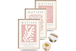 HesenDot Framed Matisse Pink Canvas Wall Art,Abstract Matisse Canvas Wall Decor,16x12IN High Framed Wood Design Print,Minimalist Classic Decor Aesthetic for Living Room,Bedroom,Bathroom Set of 3