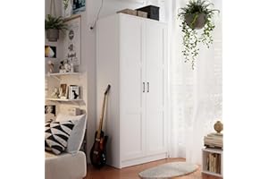 FENGHUA LIZHI Wood Wardrobe Closet with 2 Doors，Bedroom Freestanding Armoire Storage Cabinet with Shelves，Wooden Wardrobe Combination for Hanging Clothes(31.5”W X 18.9”D X 68.9”H) Suitable for Bedroom