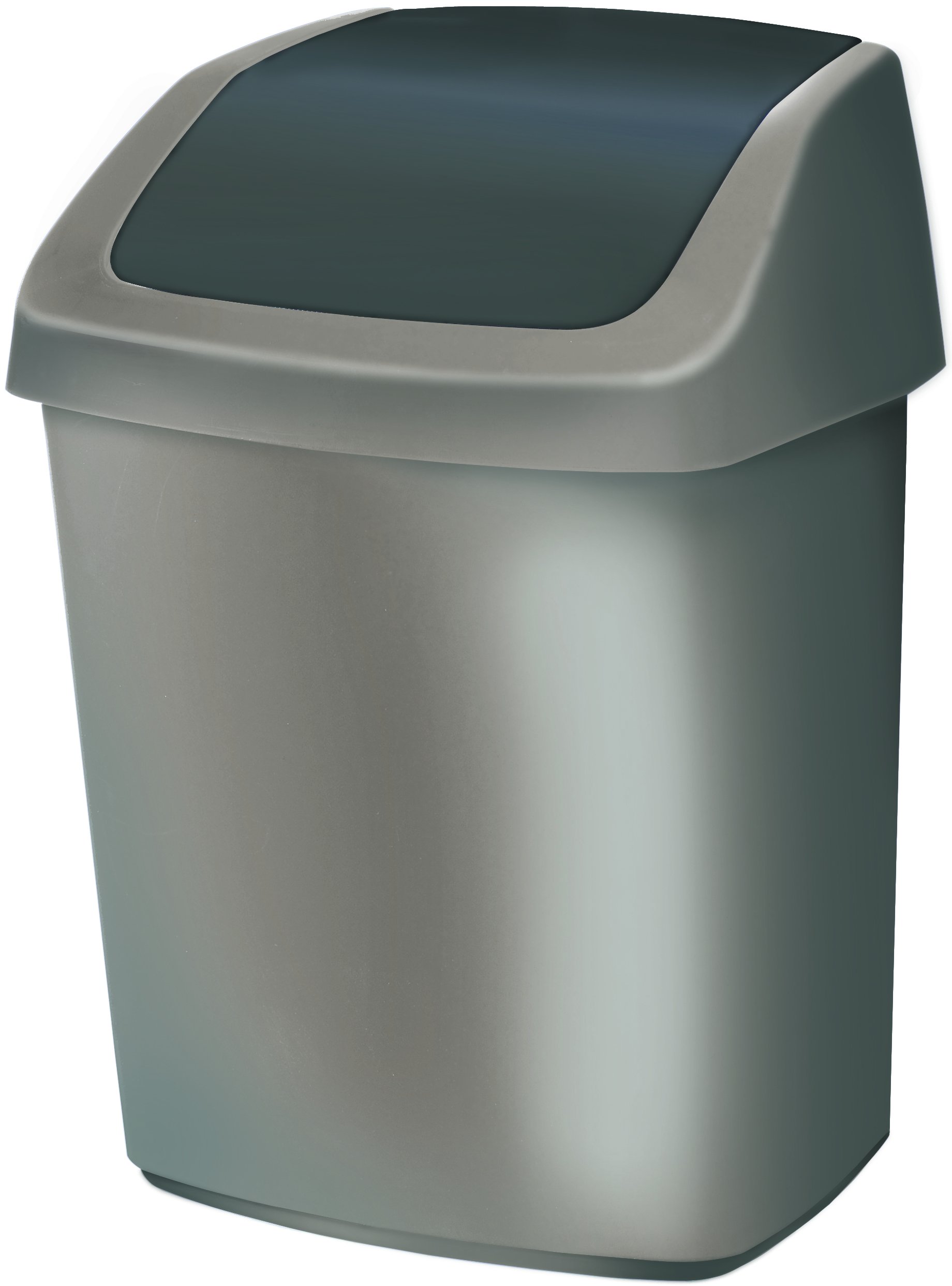 Curver 167910 Swing Dustbin Polypropylene, silver/coal, 15L
