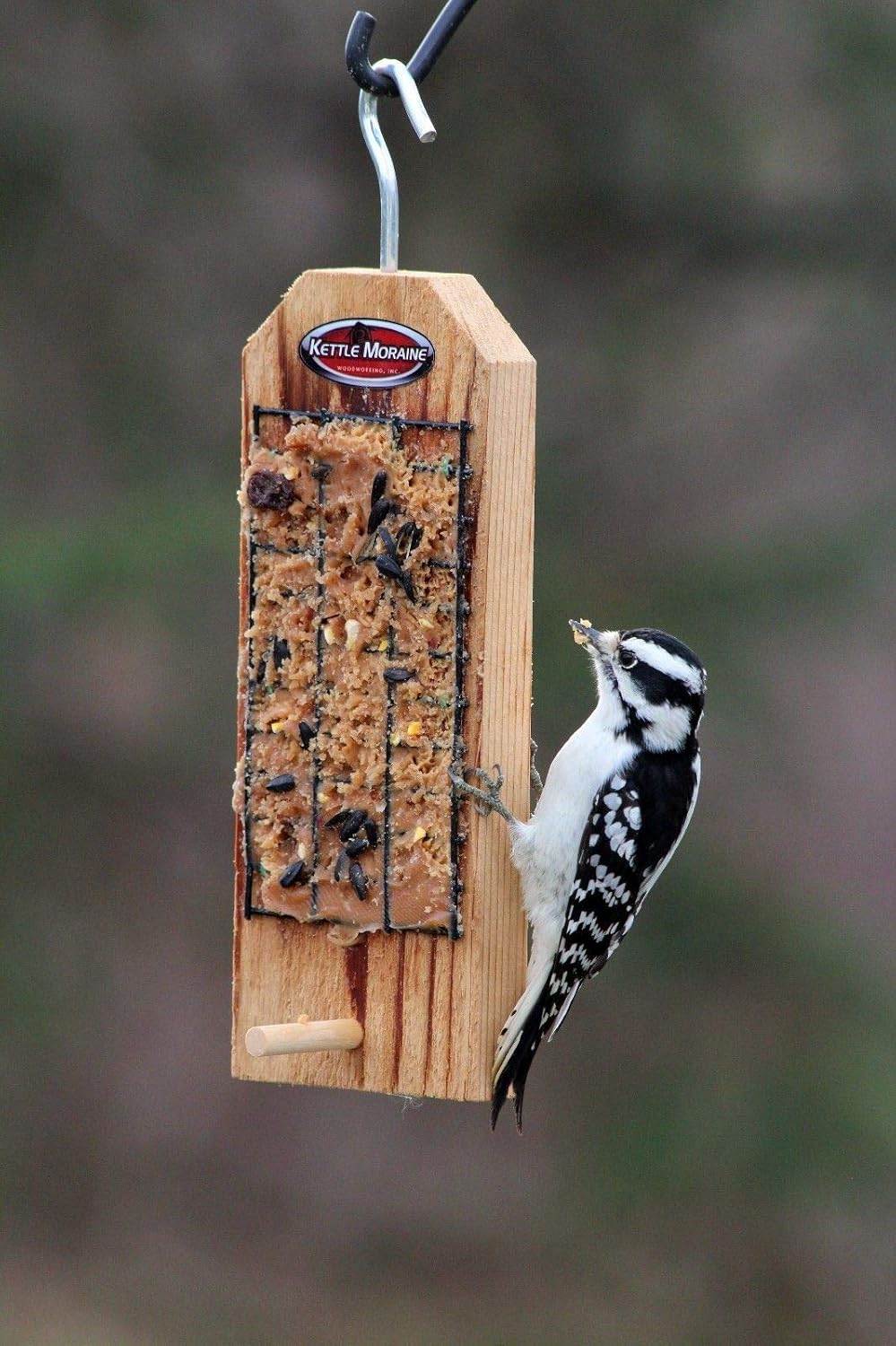 Amazon Com A Kmo Great Hanging Cedar Peanut Butter Bird Feeder