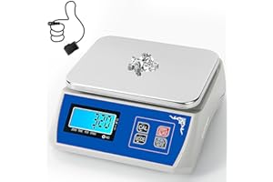 MEIYA High Precision Scale 10kg x 0.5g Electronic Industrial Weighing Scale Digital Lab Scale Portable Analytical Balance Counting Scale Jewery Kitchen Scale (10kg/22lb x 0.5g/0.001lb)