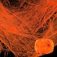 Halloween Glow Spider Webs With 37 Fake Spiders & Blacklight Lamps - Spooky Indoor Outdoor Decor - View #6