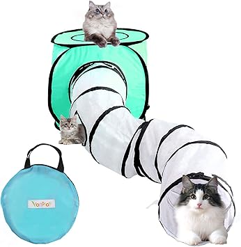 how do male dogs know when a female is in heat