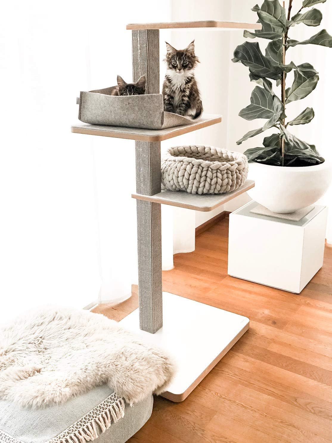 Stylecats Kratzbaum Clu Made In Germany Design Kratzbaum Sisal Kratzstamm Und Kratzflache In Der Bodenplatte Verstellbare Liegeflachen 40x50 Cm Extra Weiche Bequeme Waschbare Kissen Inklusive Katzenbett Groovie Aus Reiner Schurwolle Amazon De