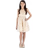 Speechless Girls Sleeveless 3D Butterfly Party Dress