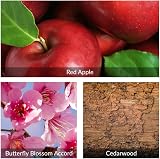 Avon Eve Become EDP 50ml Gift Set 3 Pc Perfume Lotion Purse Spray Red Apple view 3