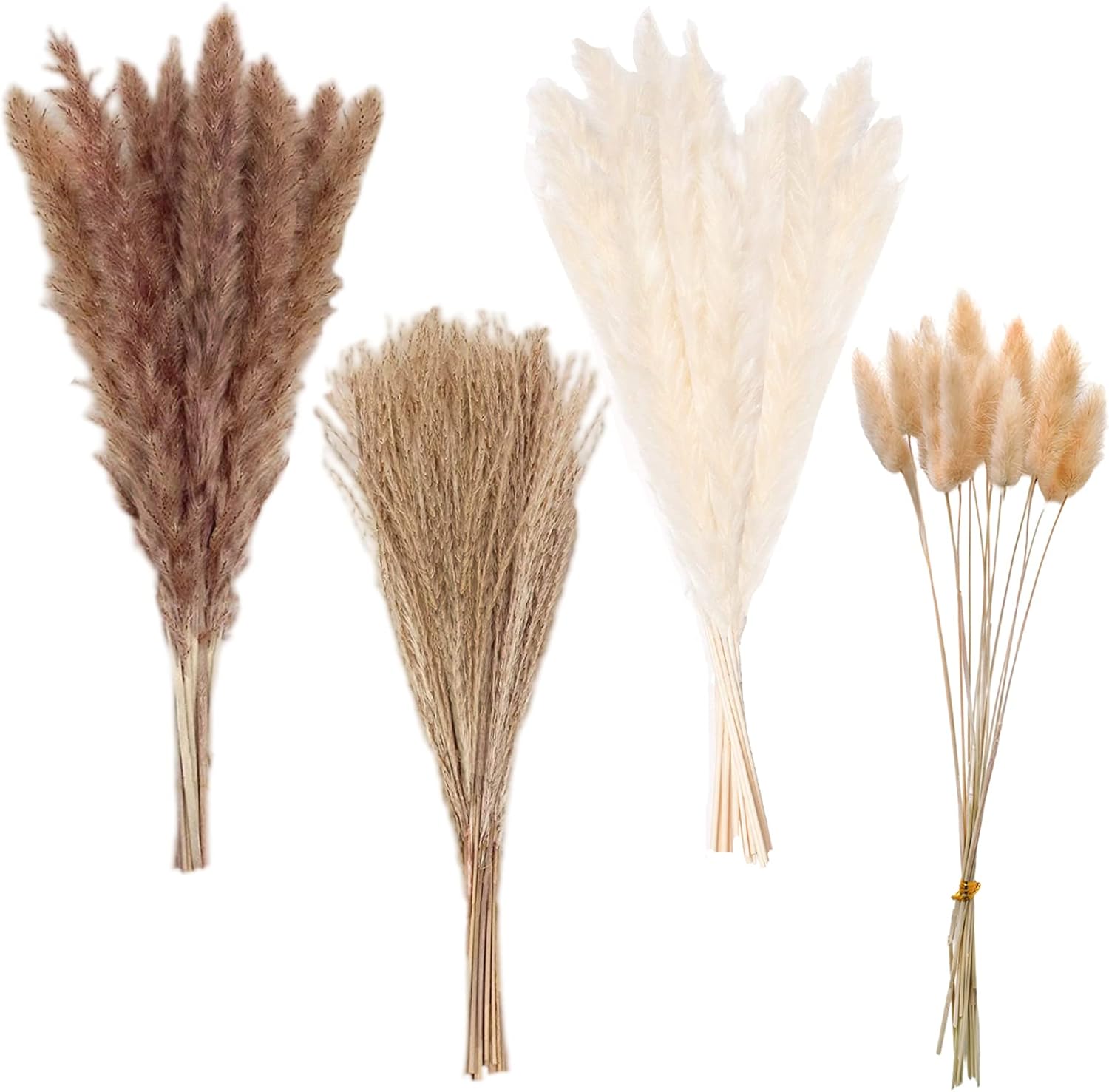 Dried & Preserved Flora - Pampas Grass Boho Home Decor, Premium Carefully Hand-Picked Natural Dried Fluffy Pompas Grass 17