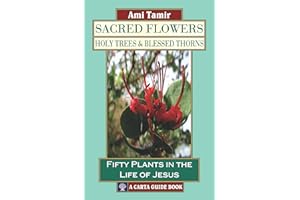 Sacred Flowers, Holy Trees, & Blessed Thorns: Fifty Plants in the Life of Jesus