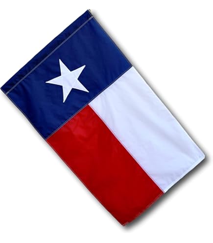 Amazon.com : US Flag Factory - 2.5x4 FT Texas State Flag (Sleeved