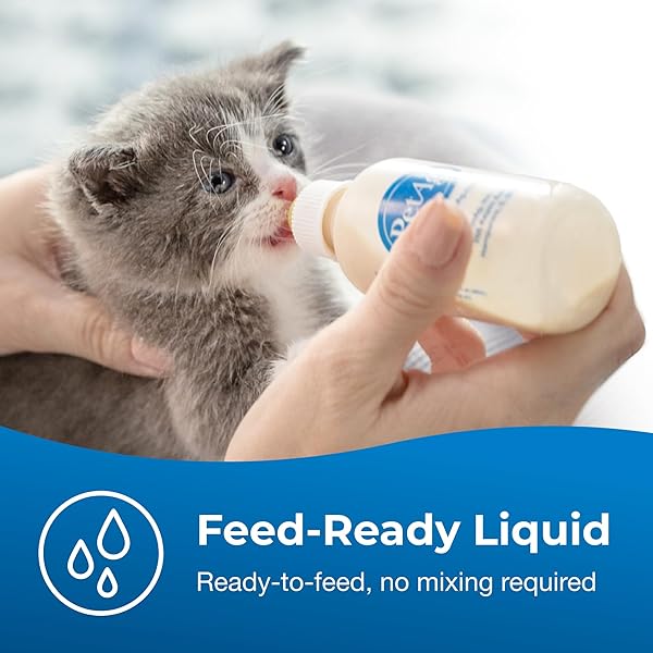 PETAG KMR KITTEN MILK REPLACER LIQUID – 16 OZ – READY-TO-FEED FORMULA WITH VITAMINS FOR NEWBORN KITTENS TO 1 YEAR – EASY TO DIGEST