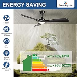BvenuBigLite Ceiling Fan with Light Modern: 52 Inch