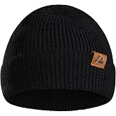 DANISH ENDURANCE Merino Wool Beanie, Fleece Lined Winter Hat, Unisex | Fleece Lined Merino Wool Beanie for Men &amp; Women: chunky knit winter hat that blocks cold and wind
