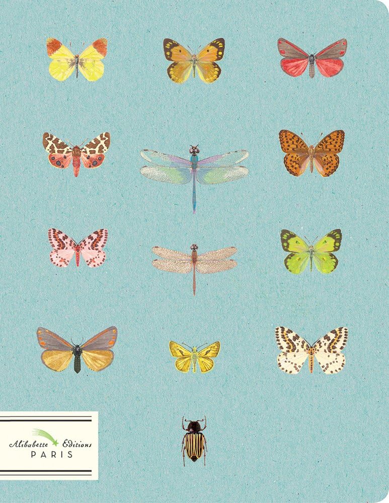 Fashion Week: Butterflies & Dragonflies on Sky Blue Background