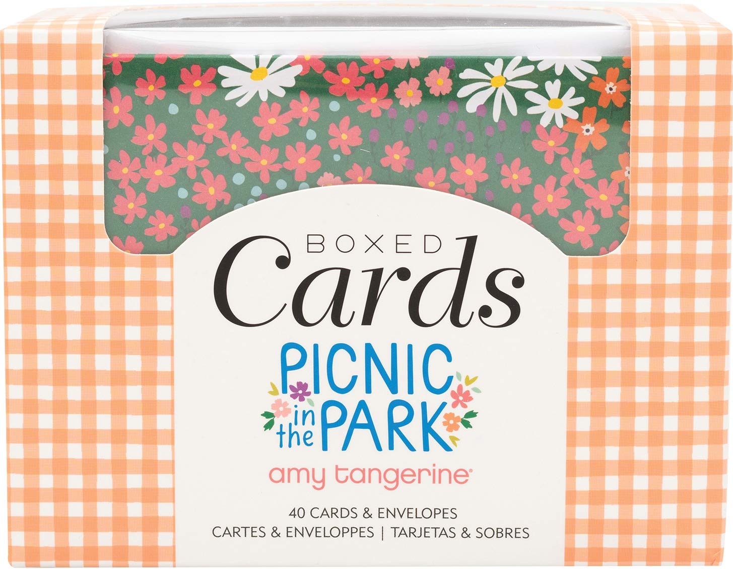 AMERICAN CRAFTS CARDS/ENVS A2 40/BOX PRK, Amy Tan Picnic in The Park, One Size