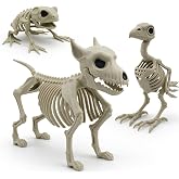 Posable Halloween Skeleton Decorations, 3 Pack Full Body Jointed Skeleton Set with 11" Dog, 8" Crow, 5" Frog, Realistic Movable Joints for Halloween Yard, Graveyard, Haunted House and Party Decor