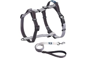 Roses&Poetry Puppy Dog Harness and Leash Set, No Pull Dog Harness Adjustable Reflective, Dog Halter Harnesses Comfort Padded Handle, Pet Harness for Training Outdoor Walking（BlackGray-M