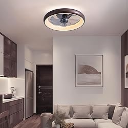 LUDOMIDE Ceiling Fan with Lights and