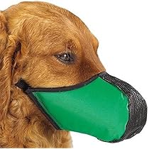 great choice dog muzzle