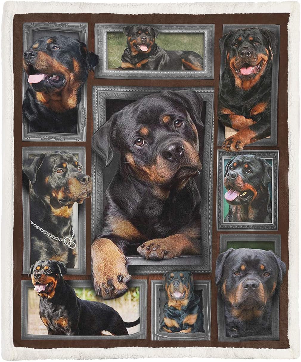 rottweiler store