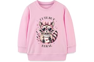 Sineeko Toddler Boys Girls Sweatshirts Long Sleeve Pullover Crewneck Shirts Cartoon Clothes Sport Tops for Kids 2-7T