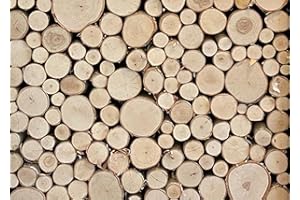 Wilson 7"-9" Decorative White Birch Fill-A-Space Logs, Natural Home Décor - 1.5"-4" Dia. (1 Sq. Ft)